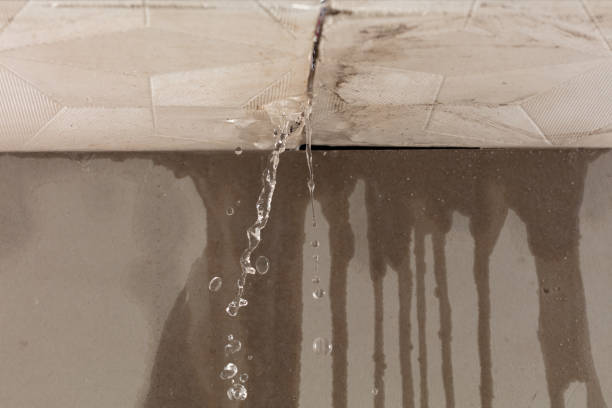 Professional Water Extraction technician working in Floresville, TX